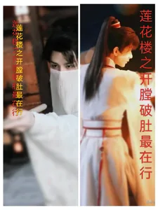 《莲花楼之开膛破肚最在行》小说封面