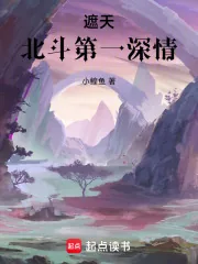 《遮天:北斗第一深情》小说封面
