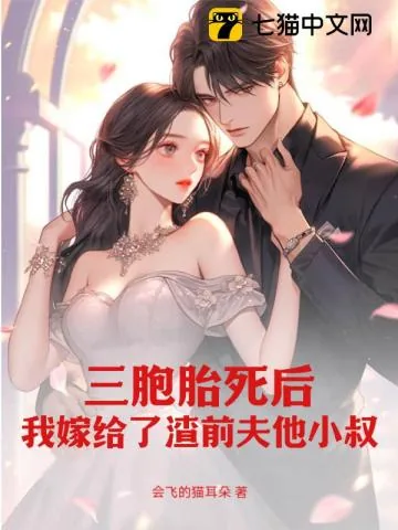 《三胞胎死后，我嫁给了渣前夫他小叔》小说封面