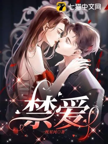 《禁爱》小说封面
