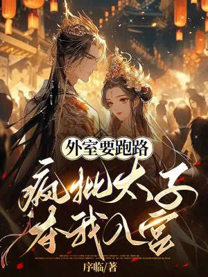 《外室要跑路，疯批太子夺我入宫》小说封面