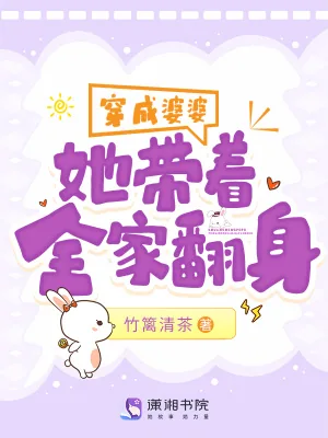 《穿成婆婆，她带着全家翻身》小说封面