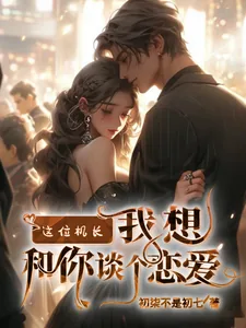 《这位机长，我想和你谈个恋爱》小说封面