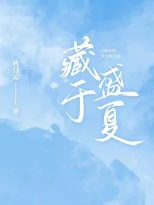 《藏于盛夏》小说封面
