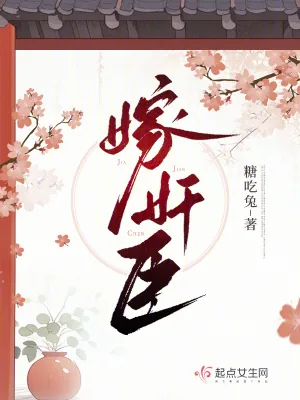《嫁奸臣》小说封面