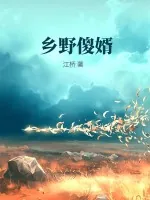 《乡野傻婿》小说封面
