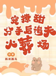 《宠!撩!甜!分手后追夫火葬场》小说封面