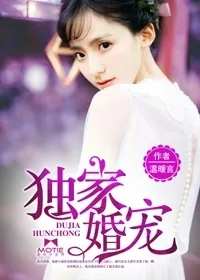 《独家宠婚》小说封面