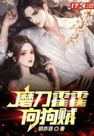 《磨刀霍霍向狗贼》小说封面