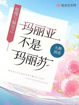《傲慢与偏见之玛丽亚不是玛丽苏》小说封面