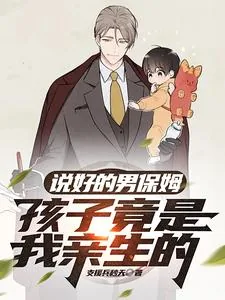 《说好的男保姆，孩子竟是我亲生的》小说封面