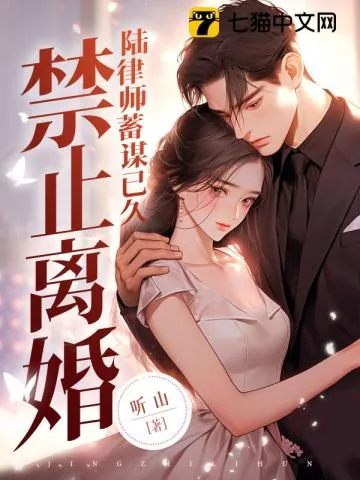 《禁止离婚!陆律师蓄谋已久》小说封面