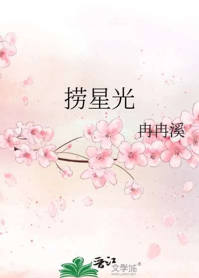 《捞星光》小说封面