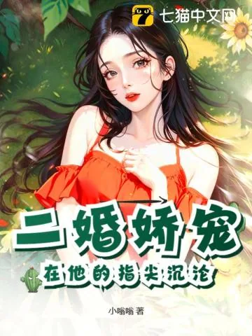 《二婚娇宠:在他的指尖沉沦》小说封面