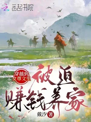 《穿越到女尊文里被迫赚钱养家》小说封面