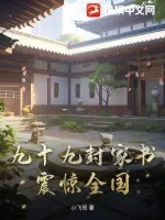 《九十九封家书,震惊全国》小说封面