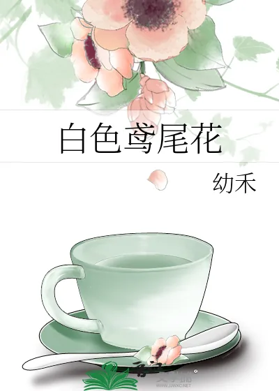 《白色鸢尾花》小说封面