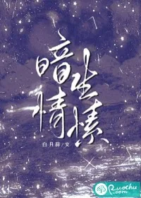 《暗生情愫》小说封面