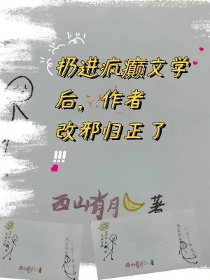 《扔进疯癫文学后，作者改邪归正了》小说封面