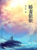 《娇妻依依》小说封面