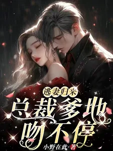 《逃妻归来,总裁爹地吻不停》小说封面