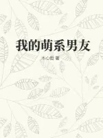 《我的萌系男友》小说封面