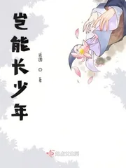 《岂能长少年》小说封面