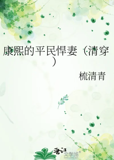 《康熙的平民悍妻（清穿）》小说封面