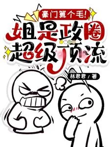 《豪门算个毛!姐是政圈超级顶流》小说封面