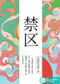 《禁区》小说封面