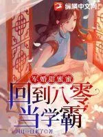 《军婚甜蜜蜜：回到八零当学霸》小说封面