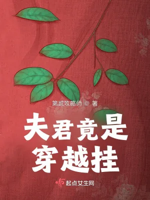 《夫君竟是穿越挂!》小说封面