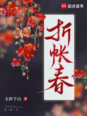 《折帐春》小说封面