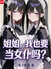 《姐姐,我也要当女仆吗?》小说封面