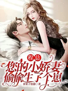 《程总，您的小娇妻偷偷生了个崽》小说封面