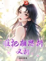 《谁把相思折又折》小说封面