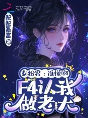 《女扮男：谁懂啊，F4认我做老大》小说封面