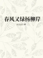 《春风又绿杨柳岸》小说封面