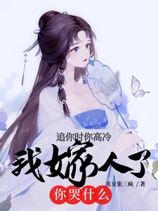 《追你时你高冷，我嫁人了你哭什么》小说封面