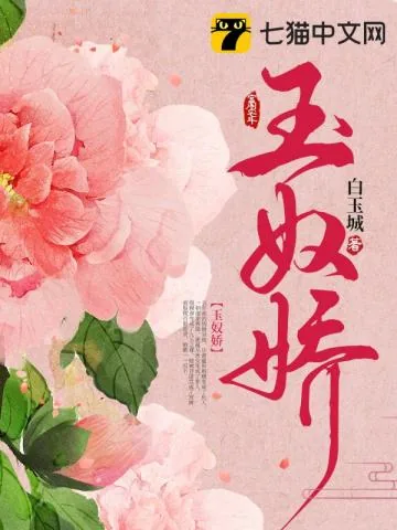 《玉奴娇》小说封面