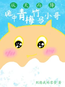 《从天而降，砸中青梅竹马小哥》小说封面