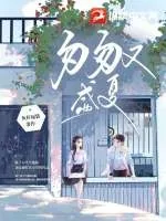 《匆匆又盛夏》小说封面