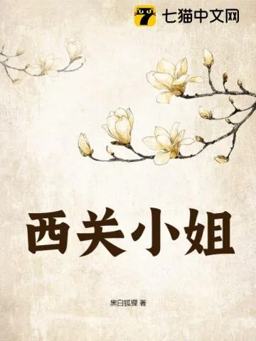 《西关小姐》小说封面