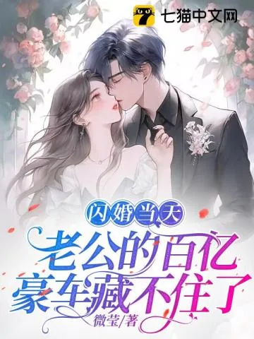 《闪婚当天,老公的百亿豪车藏不住了》小说封面