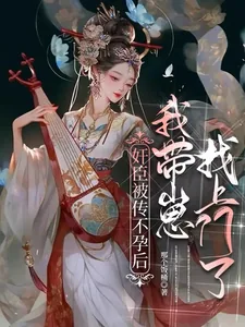《奸臣被传不孕后，我带崽找上门了》小说封面