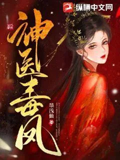 《神医毒凤》小说封面