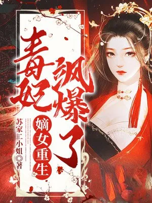 《苏紫宸》小说封面