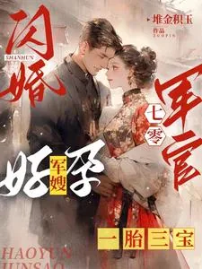 《闪婚七零军官，好孕军嫂一胎三宝》小说封面