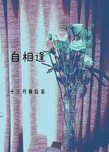 《自相逢》小说封面