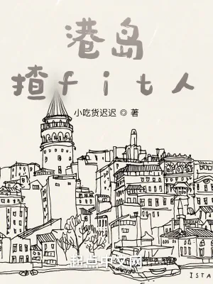 《港岛揸fit人》小说封面